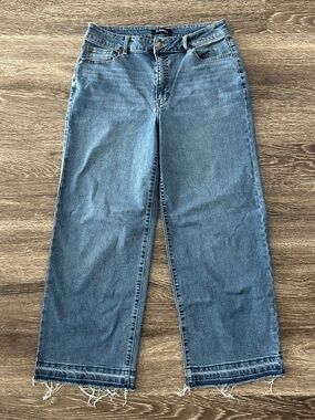 D. Jeans Wide Leg Baggy Women’s Size 8 Medium Wash Blue Denim Raw Hem 90s Skater